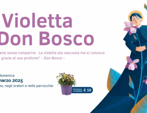 La Violetta di Don Bosco: un fiore di speranza per i giovani